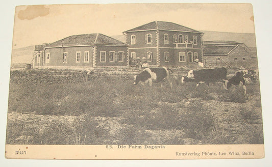 Photo Palestine Card Jewish Judaica Israel Kibbutz DEGANIA Berlin Leo Winz