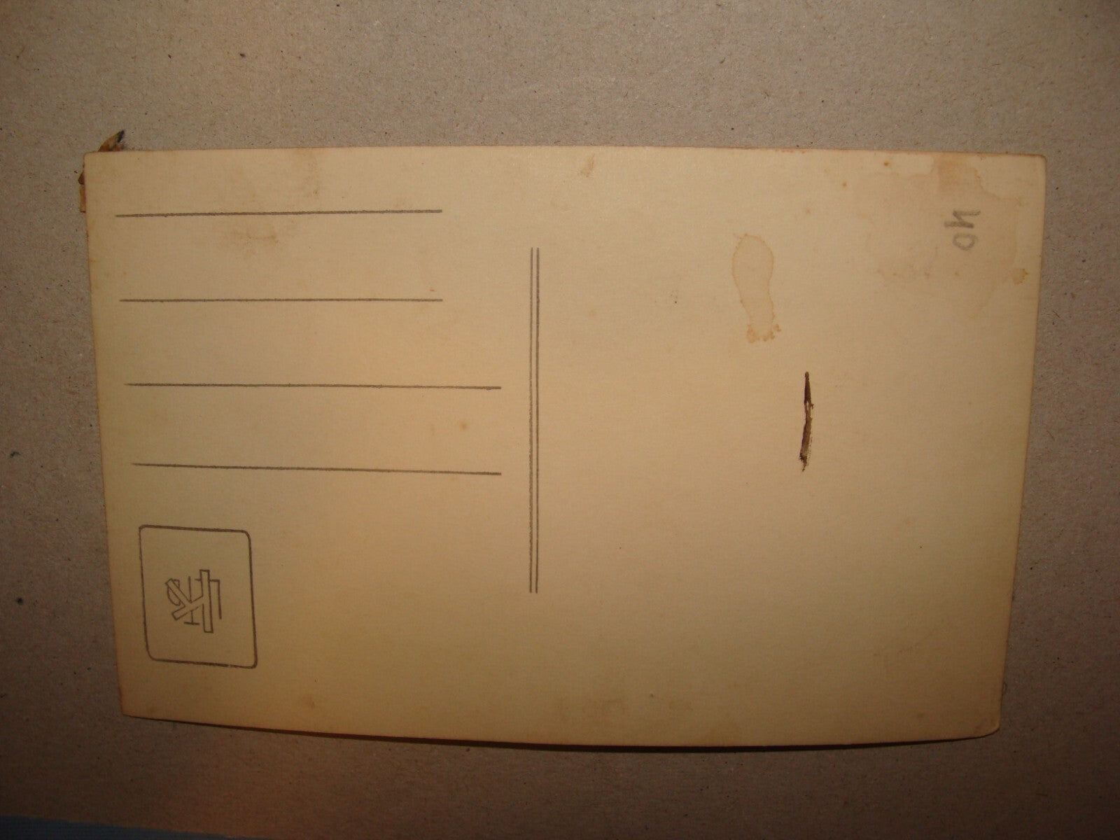 Photo Jewish 1920s Romania Moldova Briceni Zionist Youth Movement Hebrew