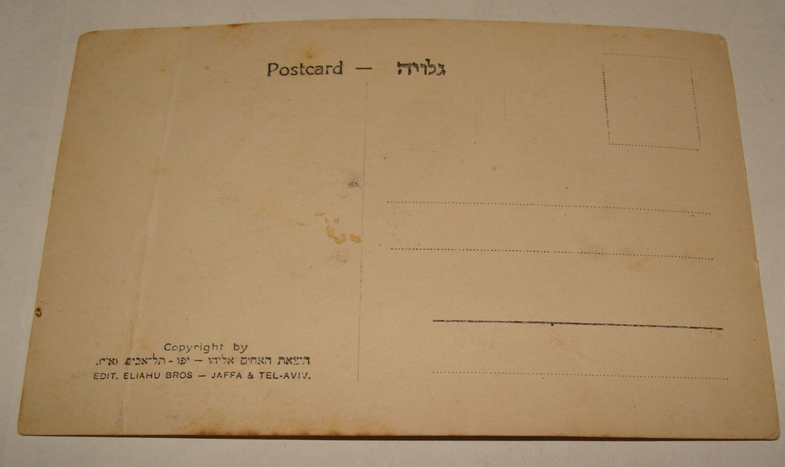 Photo Palestine Card Jewish Judaica 1920s Israel SOKOLOW Zionist Postcard Hebrew