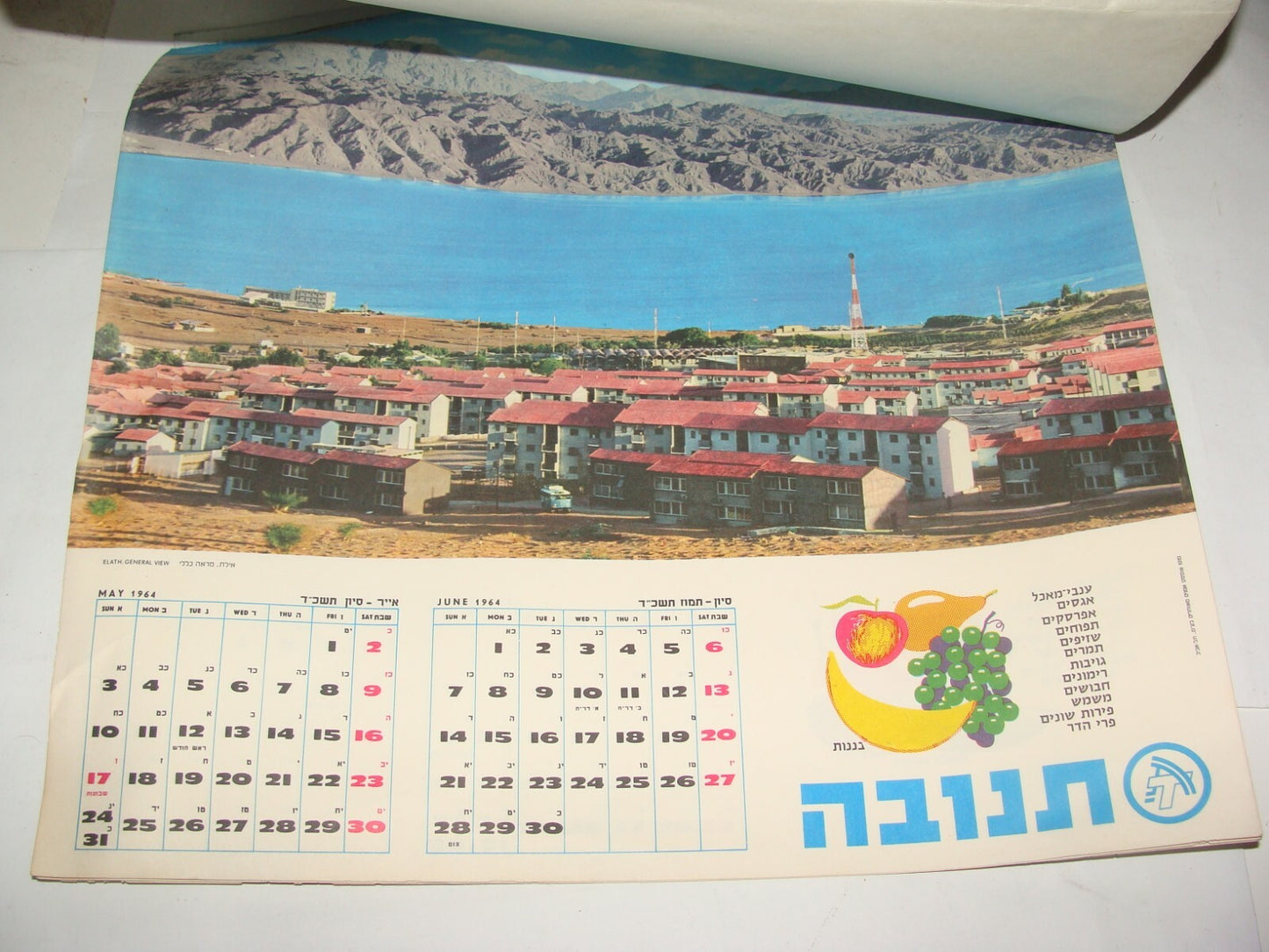 Jewish Israel Israeli Vintage 1964 Hebrew Food Company Dairy TNUVA Calendar