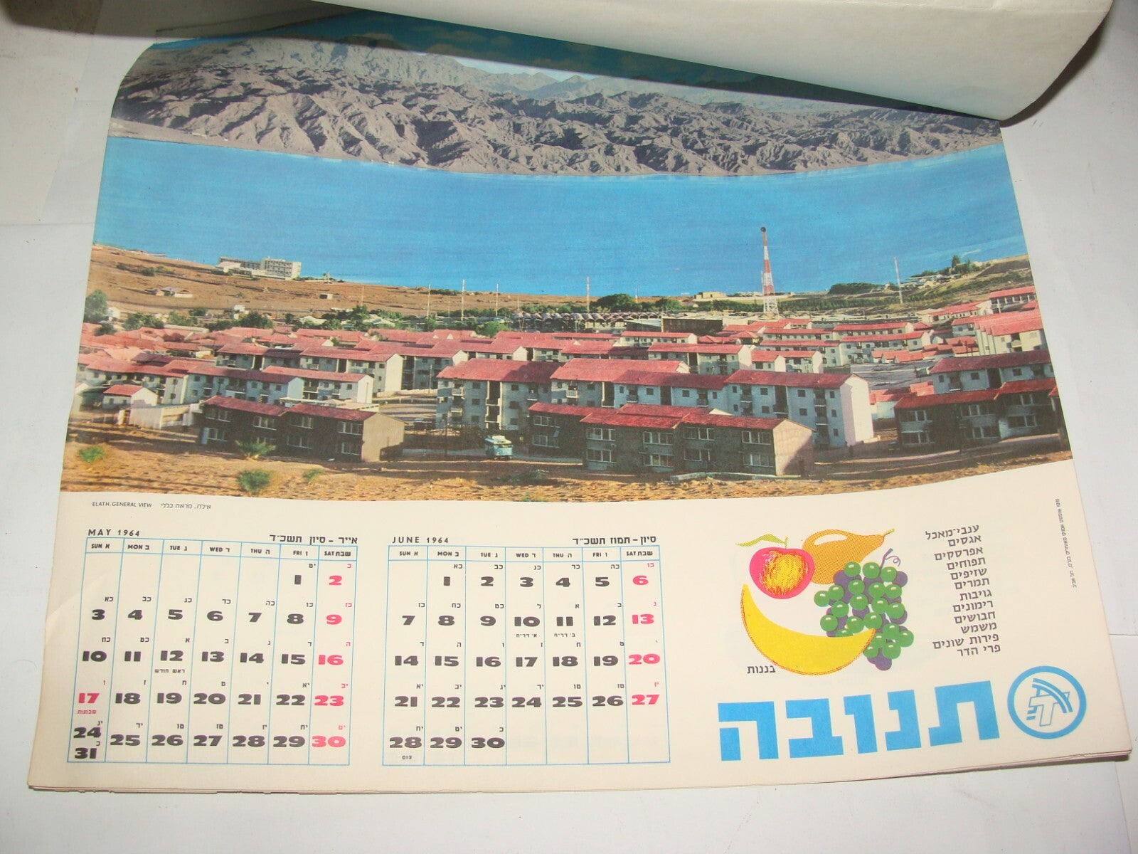Jewish Israel Israeli Vintage 1964 Hebrew Food Company Dairy TNUVA Calendar