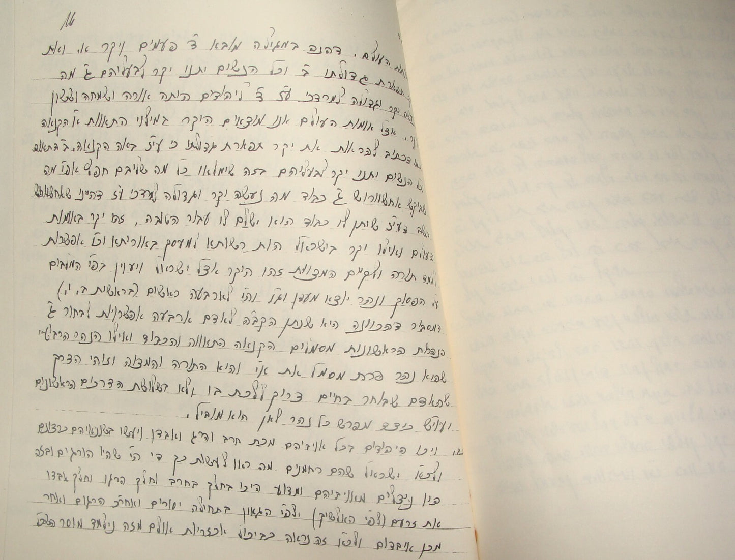 Booklet Jewish Judaica Israel Israeli Purim Esther Scroll Rabbi Yeshiva Print