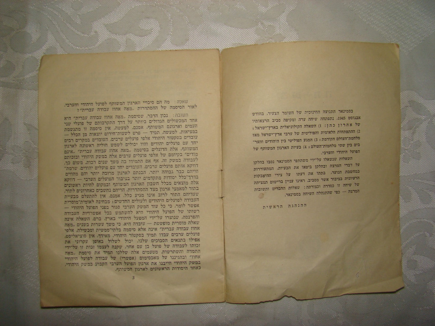 Book Jewish Hebrew Palestine Israel Youth Movement Hashomer Hazair Zionist השומר