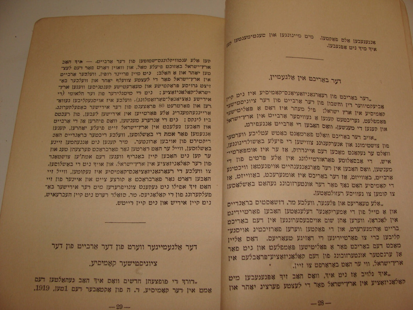 Book Jewish Judaica 1921 Zionist Yiddish Chaim Weizmann Ussishkin Arab Riots