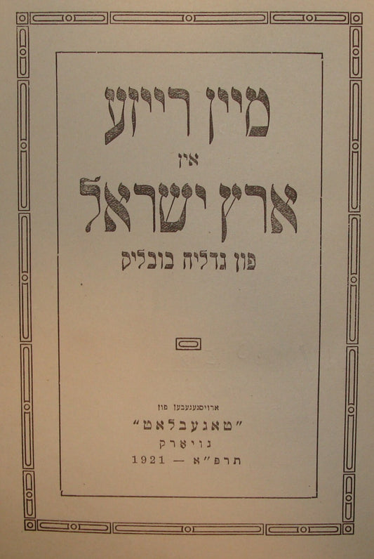 Book Jewish American Judaica 1921 Palestine Israel Travel Journey Yiddish NY