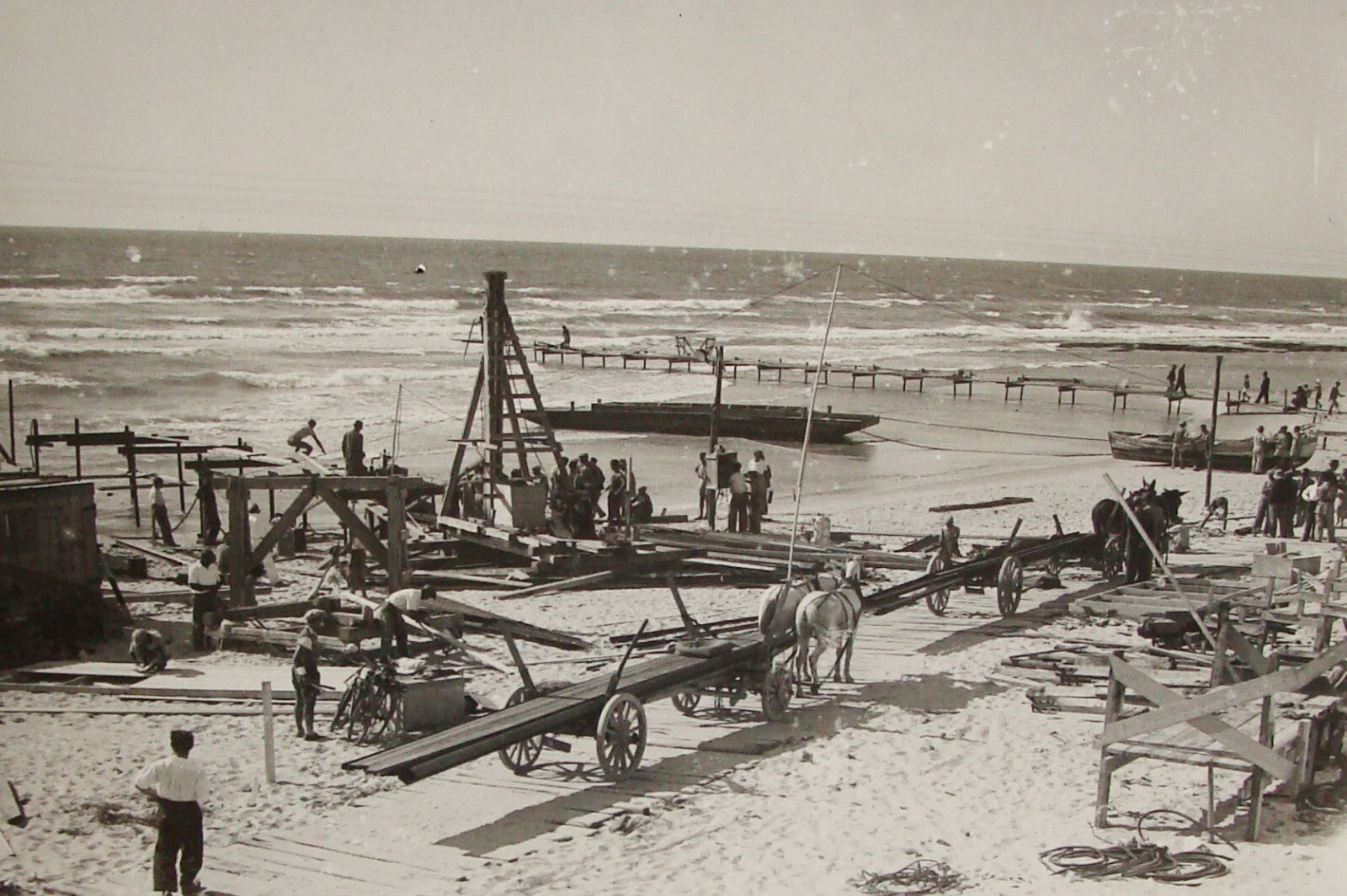 Photo Print, 1936 Palestine Israel TEL AVIV Port Workers Jewish Judaica Hebrew