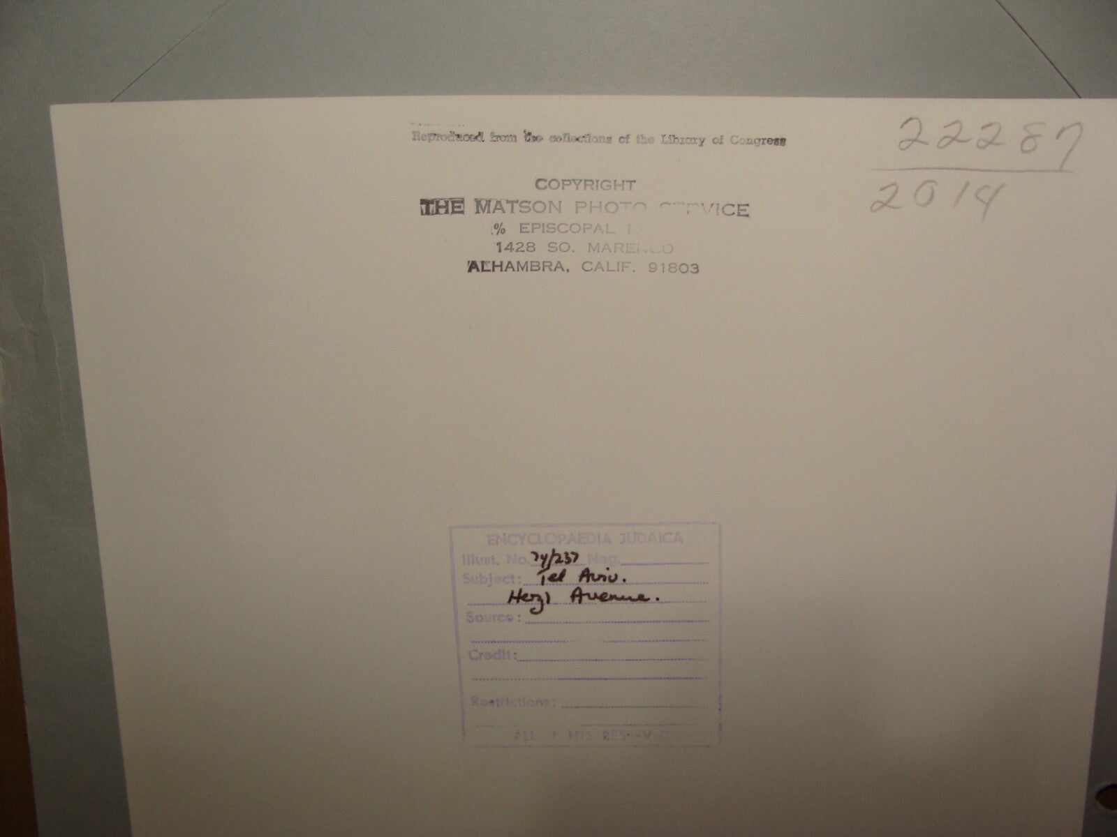 Photo Print, Jewish 1920s Palestine Israel Tel Aviv Herzl Avenue Street MATSON