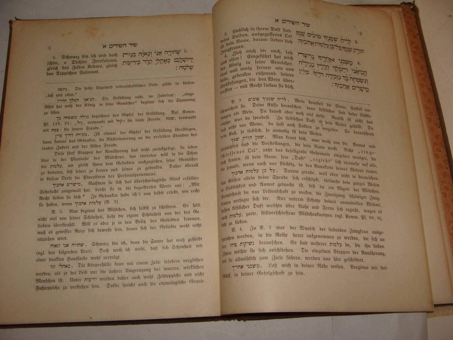 Germany Jewish Judaica 1912 Frankfurt חמש מגלות Dr. Raphael Breuer Hebrew German