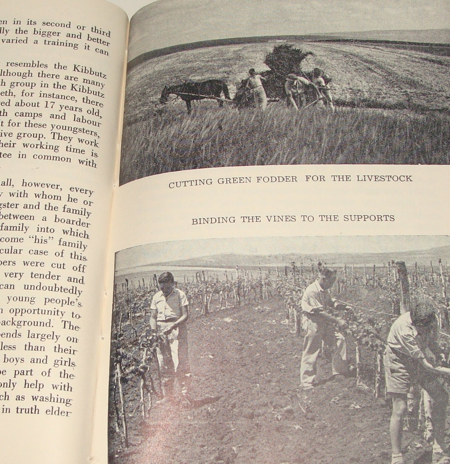 Book Jewish Judaica 1949 Moshav Moledet Bnei Brith Feitelberg Zionist Settlement