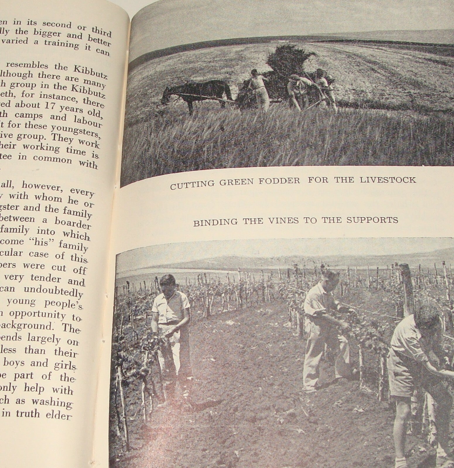 Book Jewish Judaica 1949 Moshav Moledet Bnei Brith Feitelberg Zionist Settlement