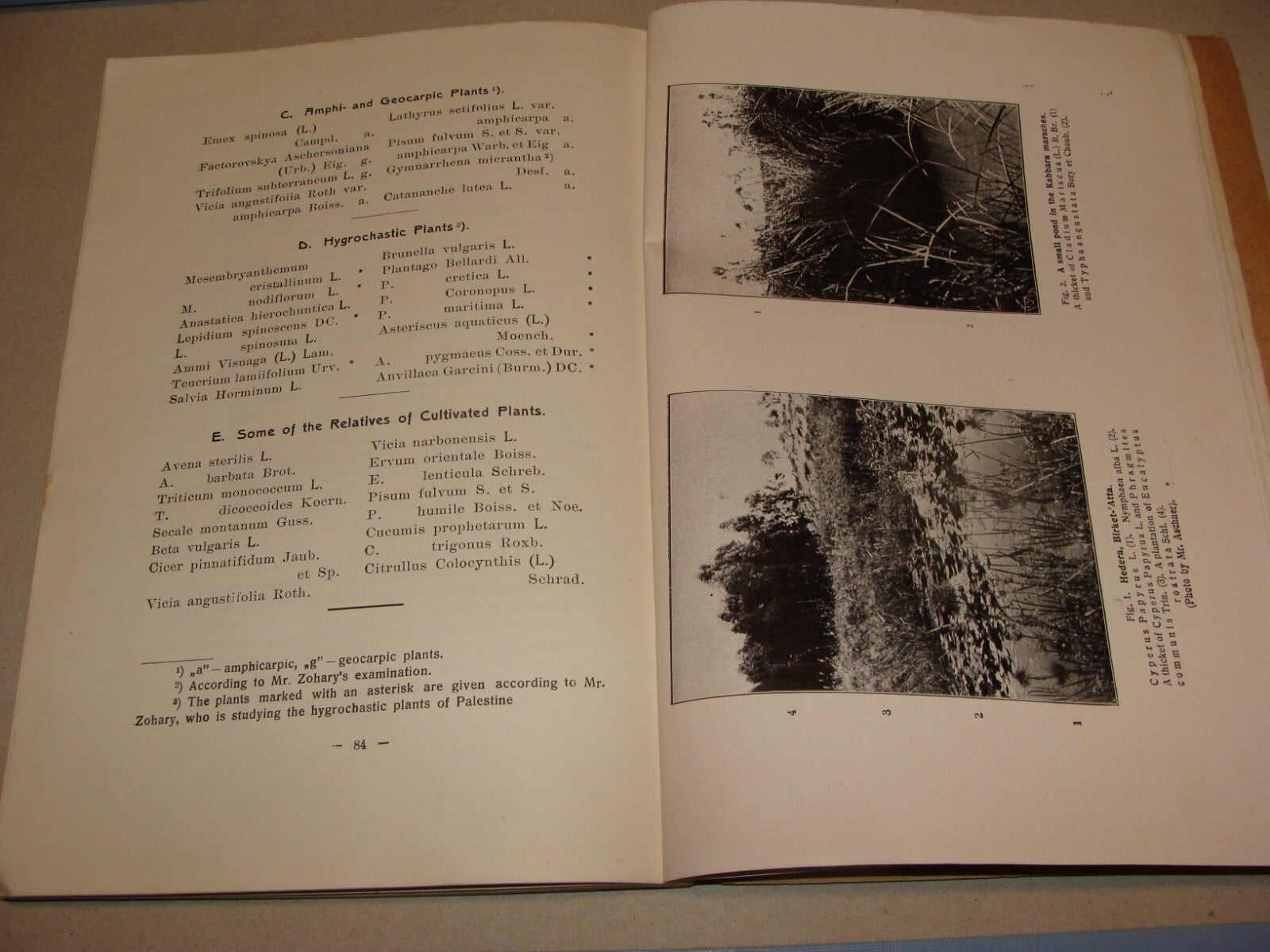 Book Jewish 1927 VEGETATION OF PALESTINE Israel EIG Agriculture Zionist Medical