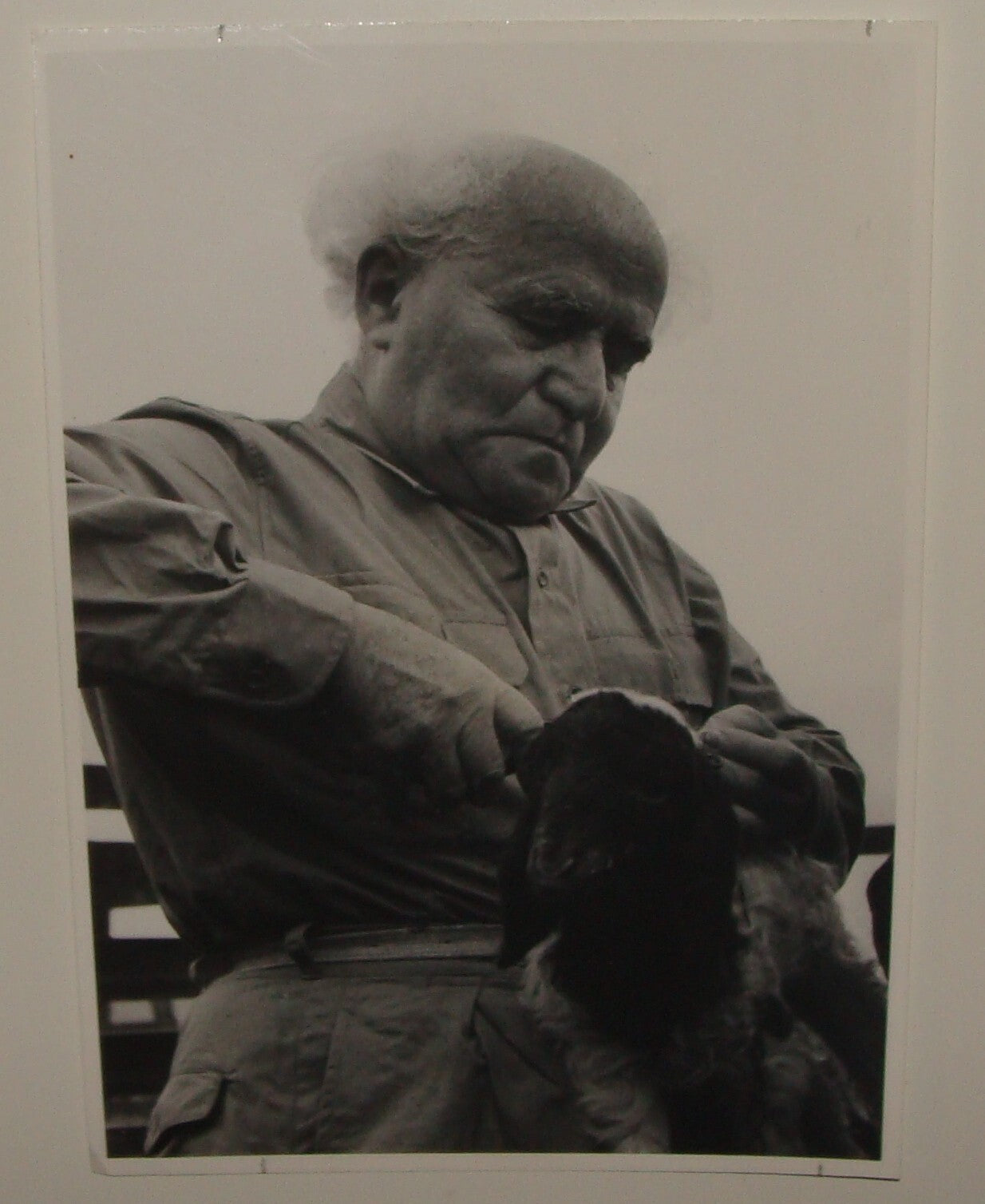 Pol Photo Print Jewish 1954 Israel Prime Minister DAVID BEN GURION Kibbutz Sde