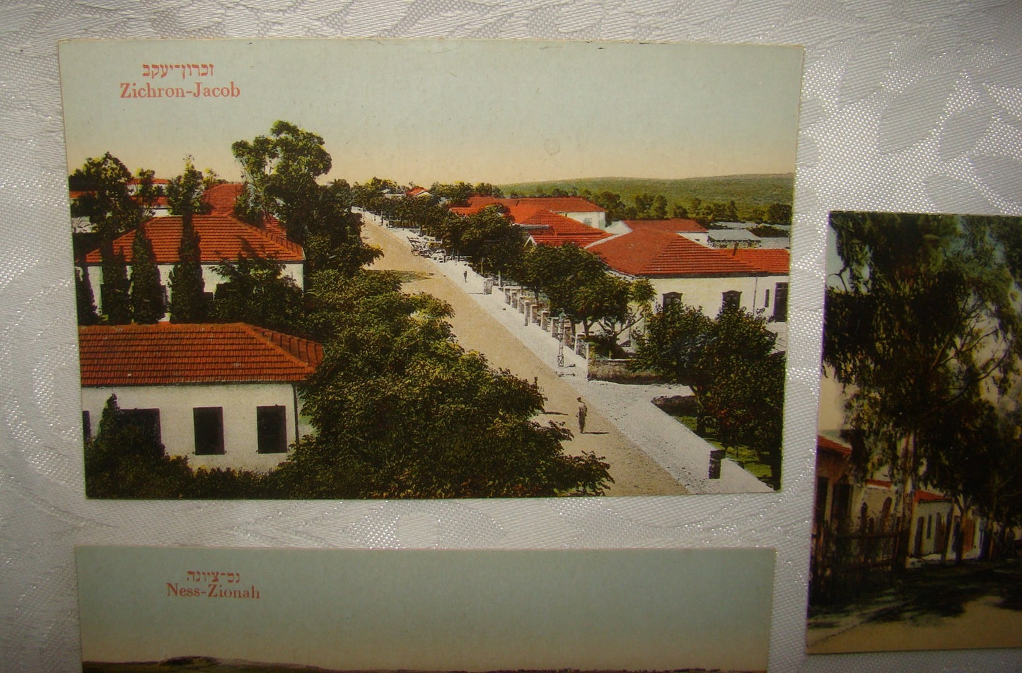 Photo Palestine Card hebrew jewish Israel Moshe Ordmann postcard Kibbutz Moshav