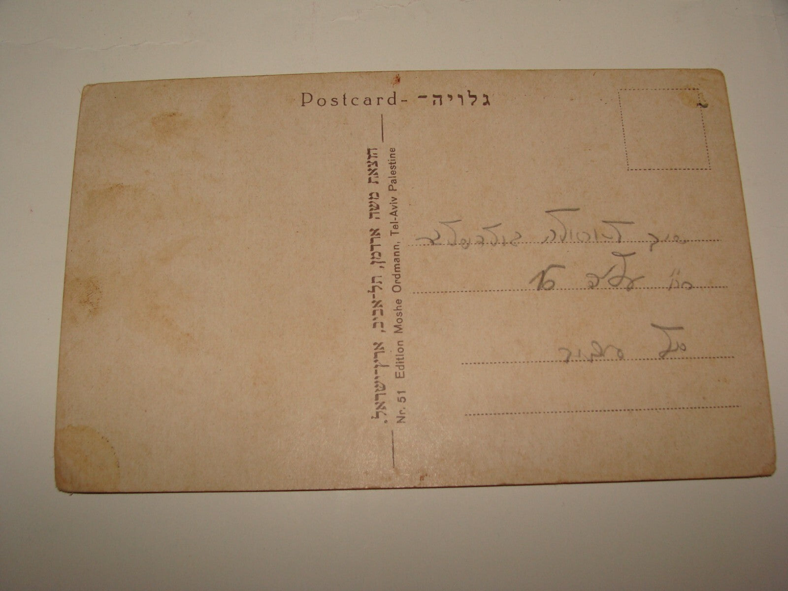 Photo Palestine Card Jewish Israel Kibbutz DEGANIA Postcard Ordmann New Year