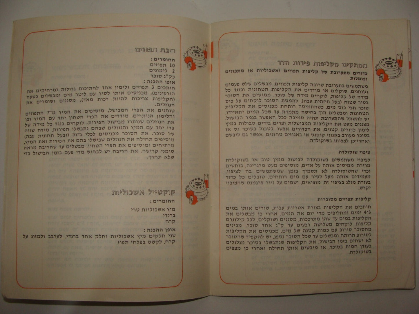 Booklet Jewish Book Judaica Vintage Israel Israeli Hebrew Recipe Citrus Food