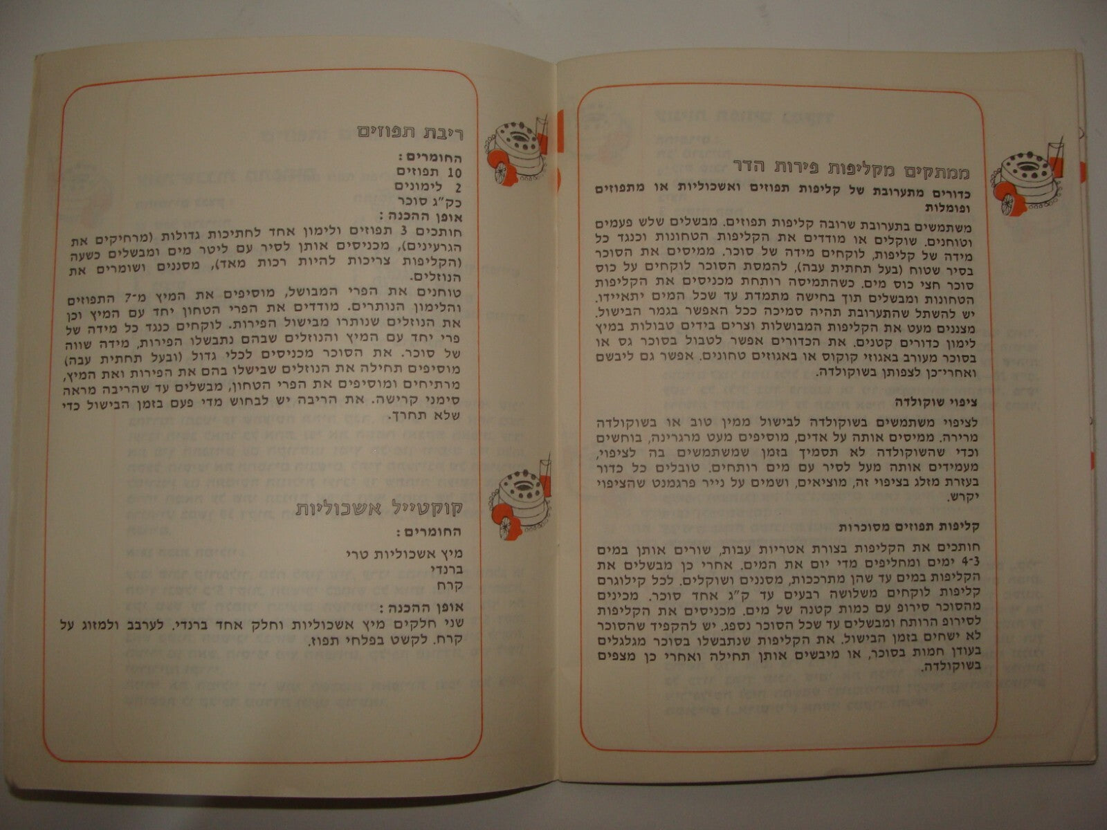 Booklet Jewish Book Judaica Vintage Israel Israeli Hebrew Recipe Citrus Food