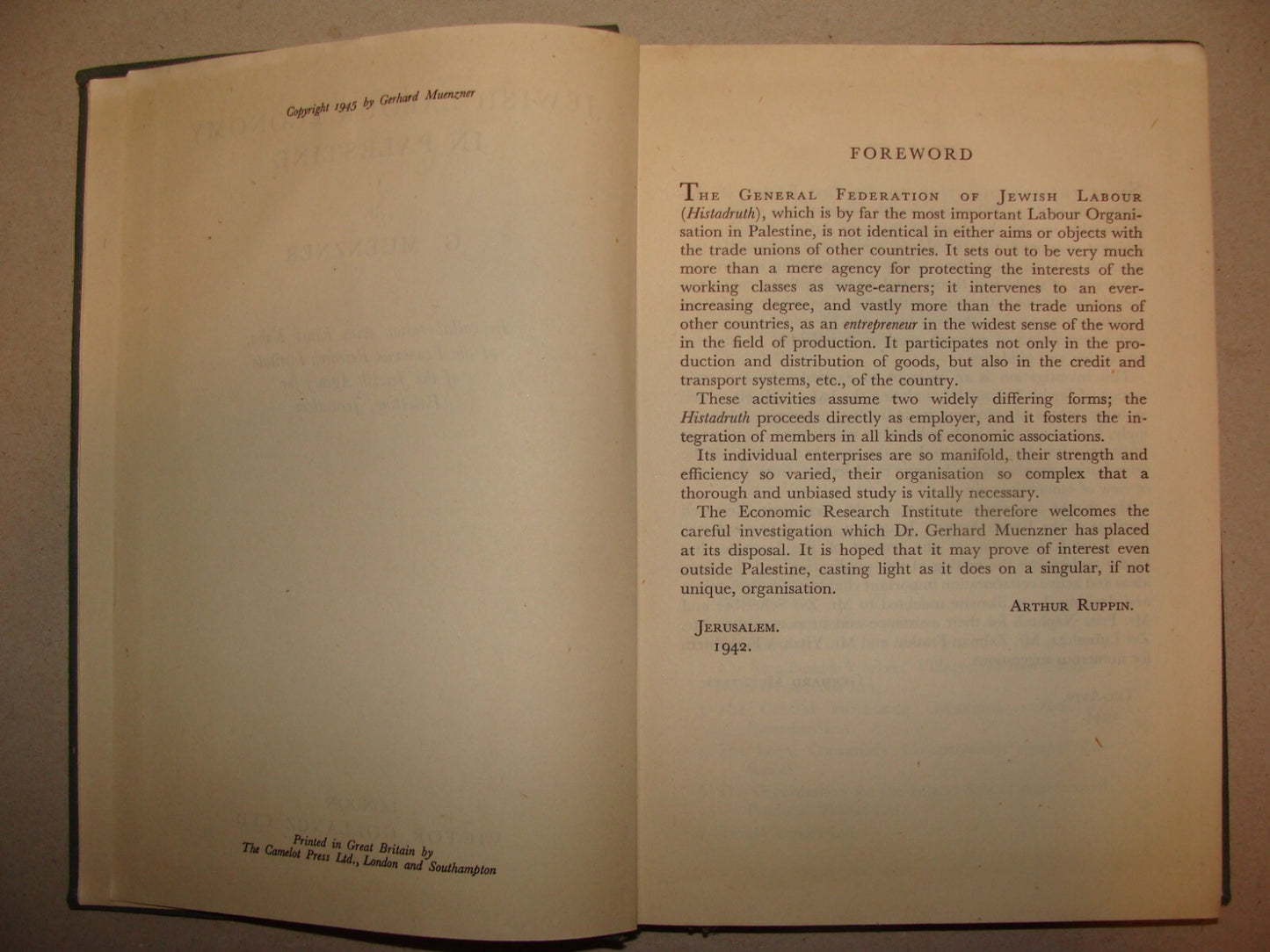 Book Jewish Judaica 1945 Labour Economy In Palestine Israel Muenzner London