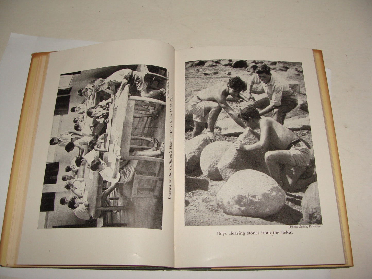 Book Jewish Zionism 1944 YOUTH COMES HOME Palestine Israel Immigration Pioneers