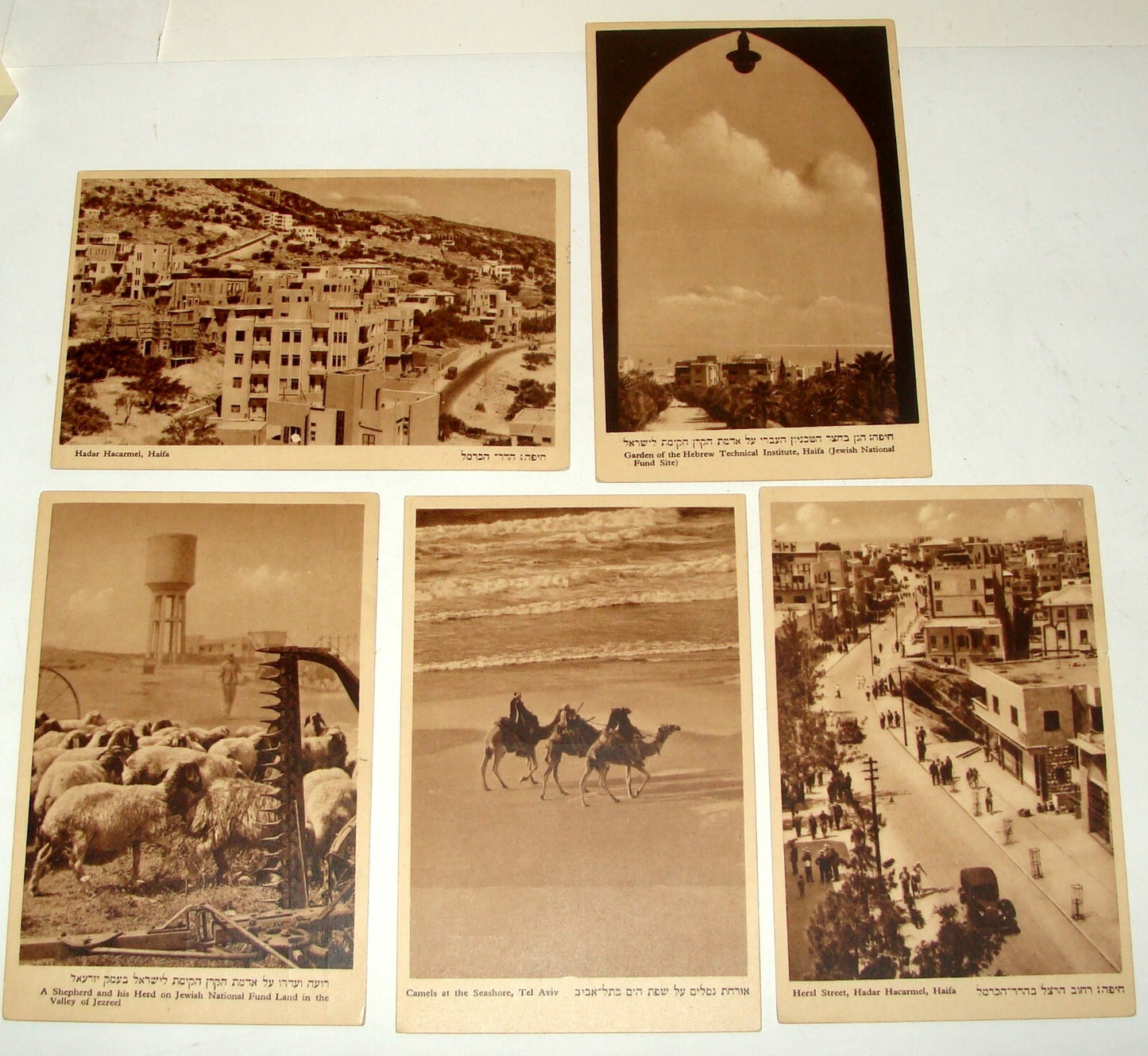 Photo Palestine Card Jewish Israel Israeli 1930s HAIFA Postcard Lot x5 Poland