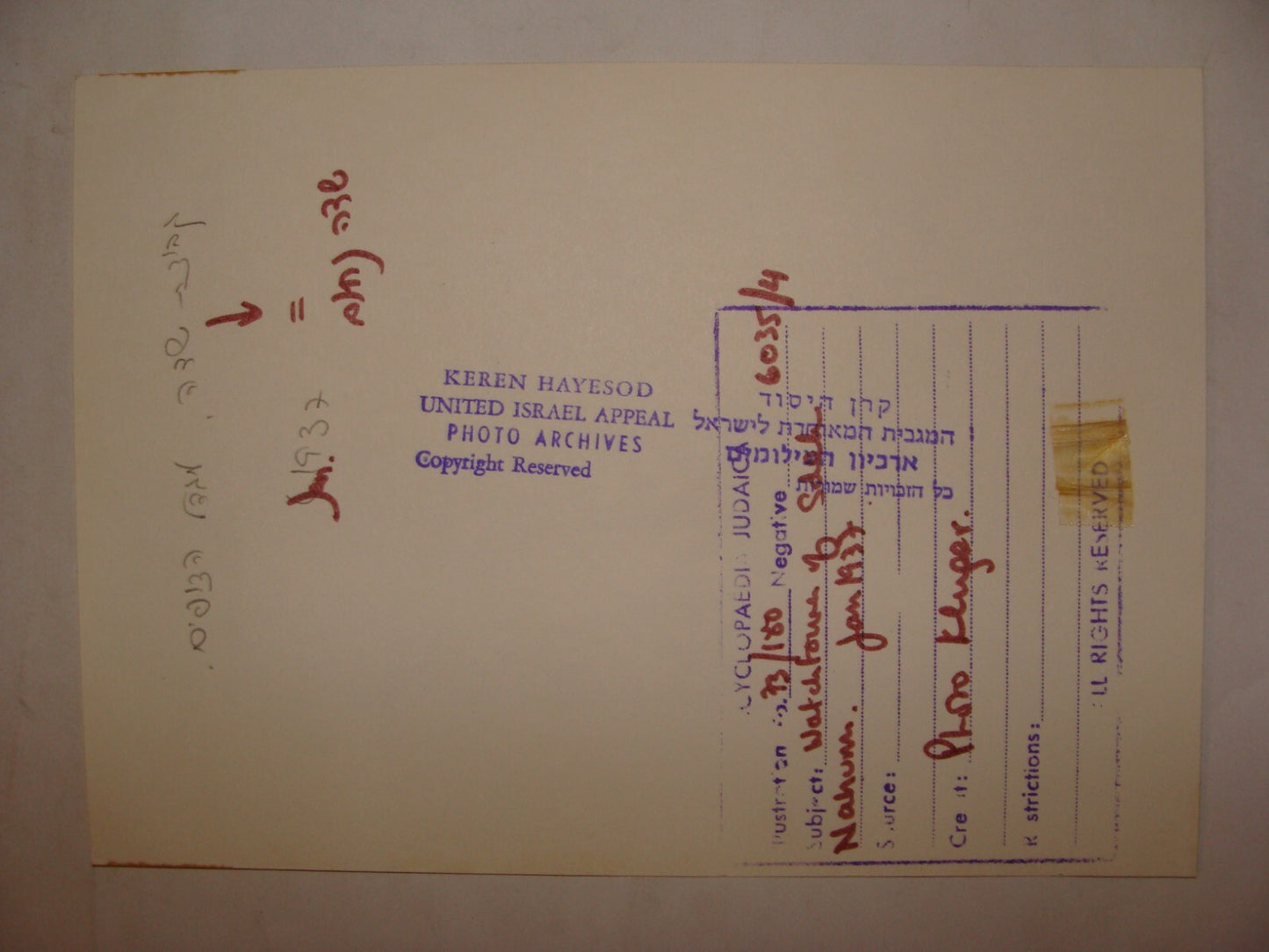 Photo Print, 1937 Palestine Israel KIBBUTZ SDE NAHUM Jewish WALL AND TOWER