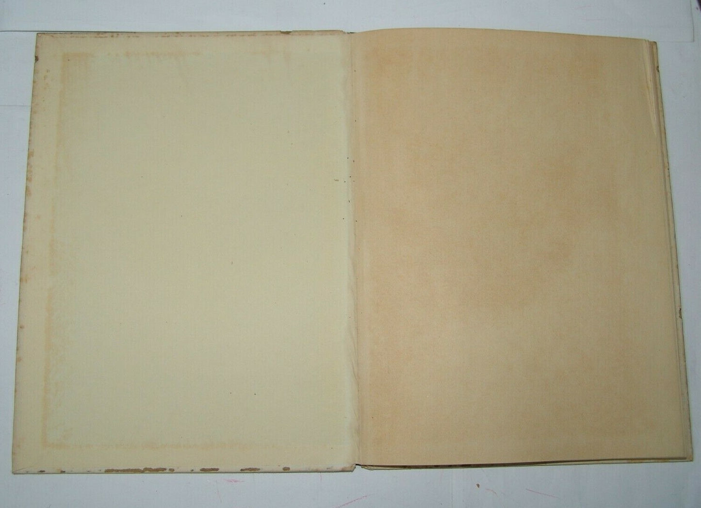 Book Jewish Judaica israel israeli Leah Goldberg 1952 אהבת שמשון with drawings