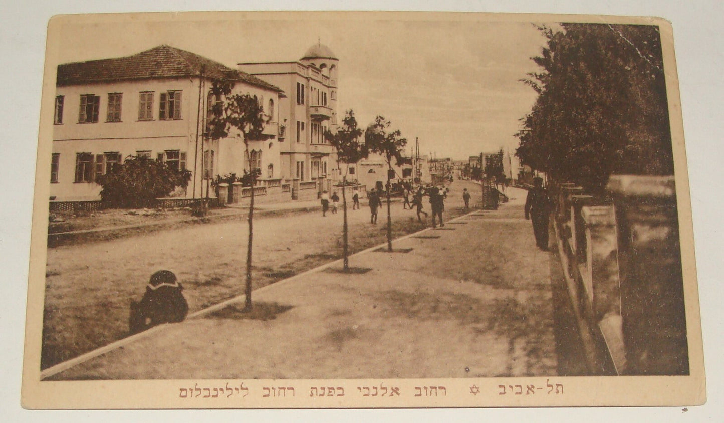 Germany Photo Palestine Card Jewish 1920s Berlin Israel Tel Aviv Postcard Hebrew