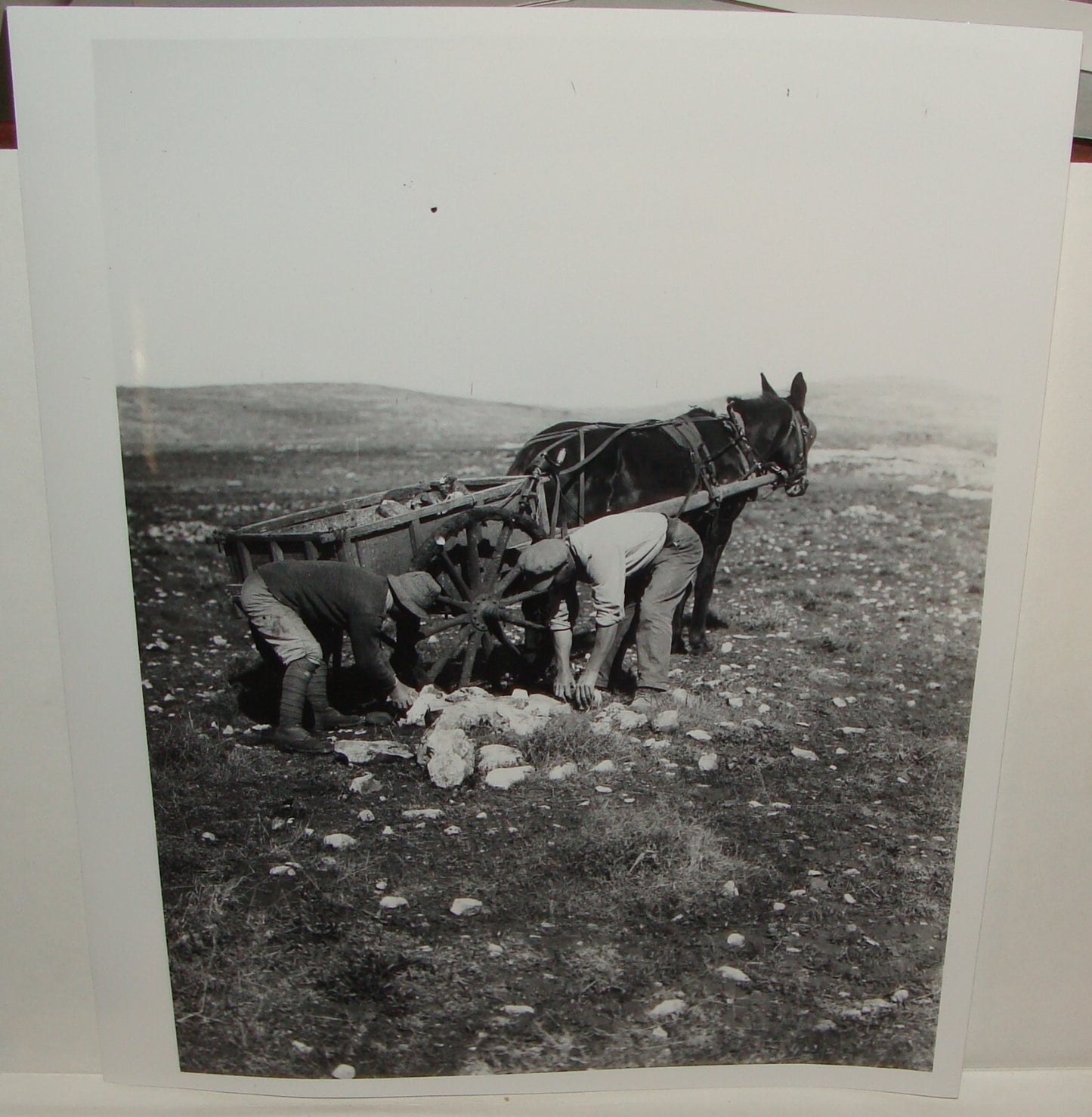 Photo Print Palestine MATSON , 1930s Israel Jewish Hebrew Settlement Pioneers