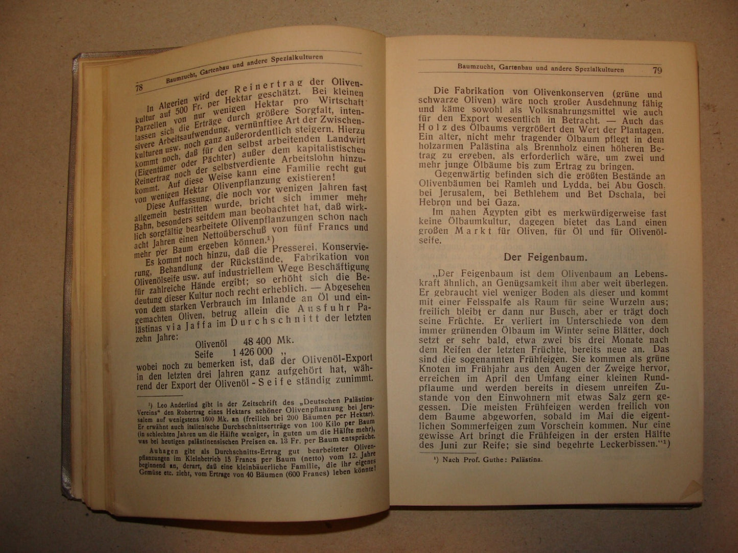 Jewish Judaica 1912 Palestine Israel Guide Trietsch German Germany Book Map
