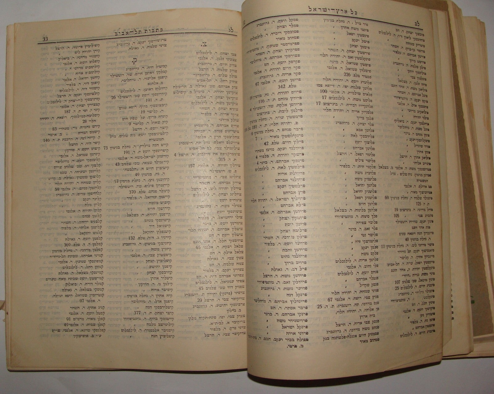 Book Jewish RARE Judaica 1926 Palestine Israel GUIDE Hebrew Ads Info Industry