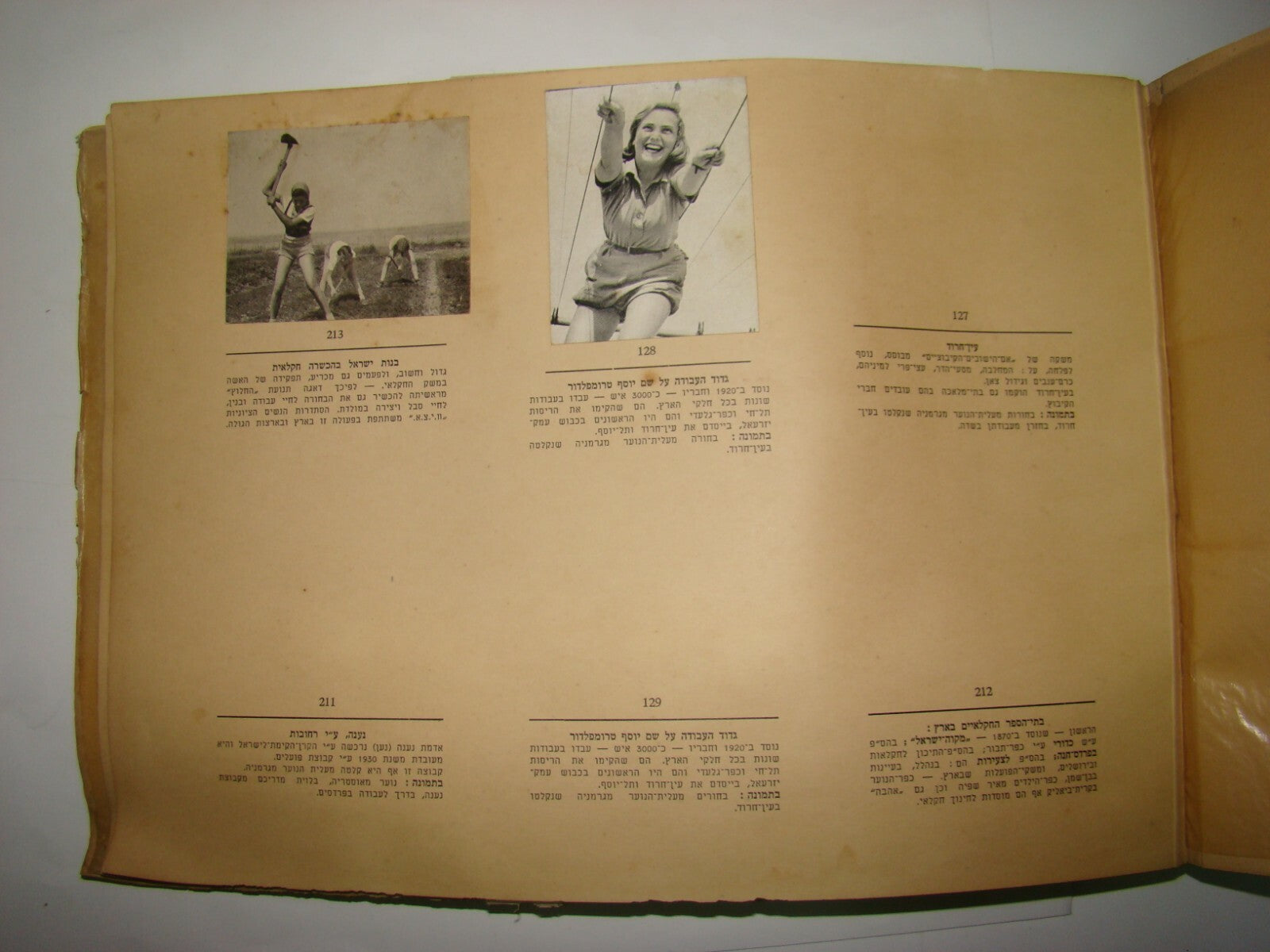 Card Palestine RARE Jewish Judaica Israel Zionist 1939 Album Cigarettes + 78