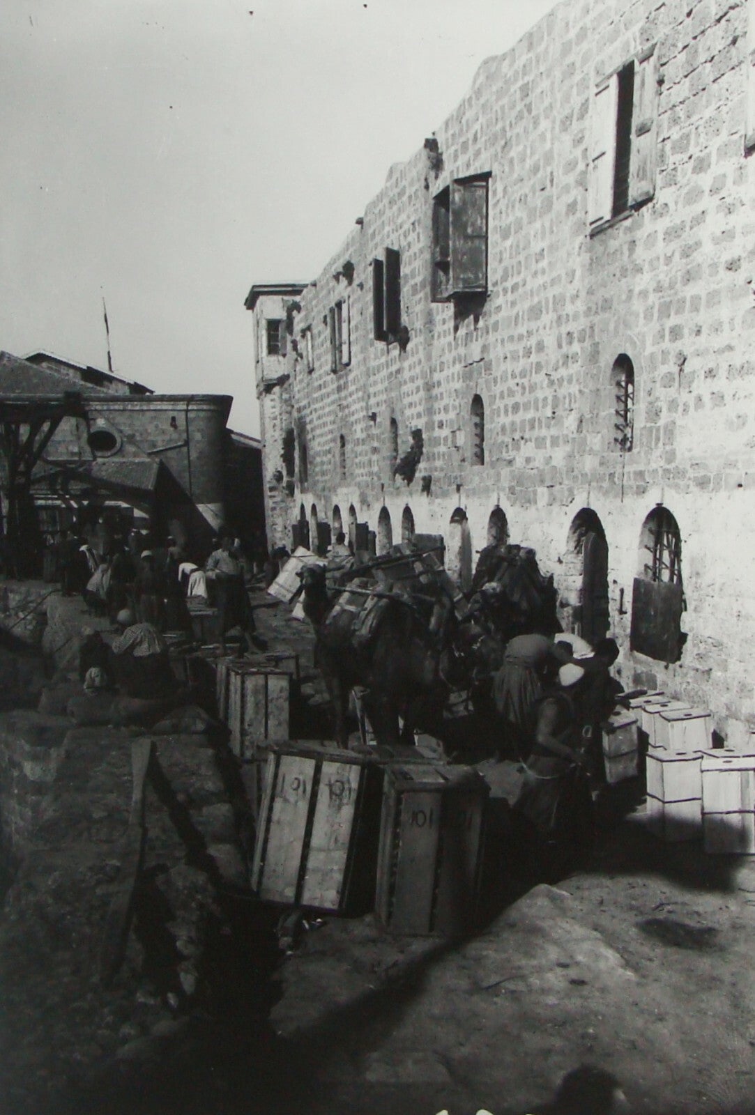 Photo Print, Pre 1918 Palestine Israel Jaffa Wharf Oranges