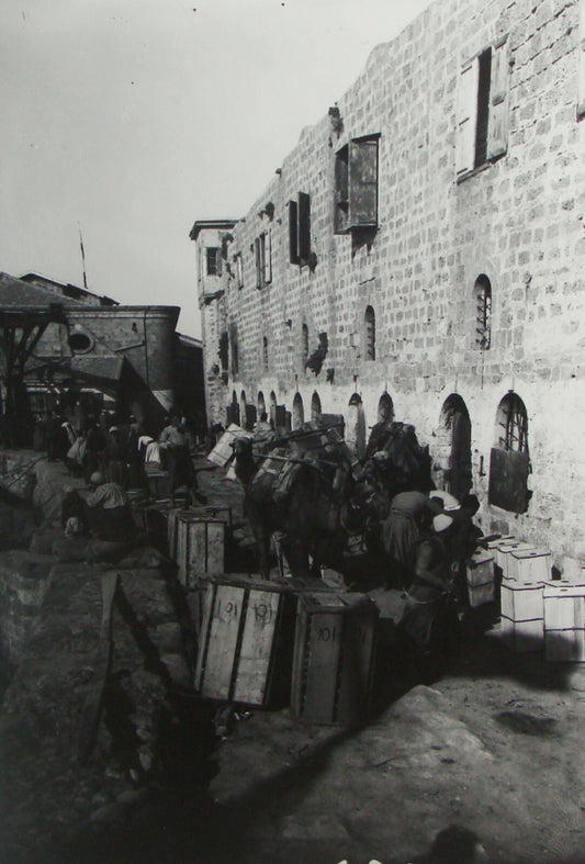 Photo Print, Pre 1918 Palestine Israel Jaffa Wharf Oranges