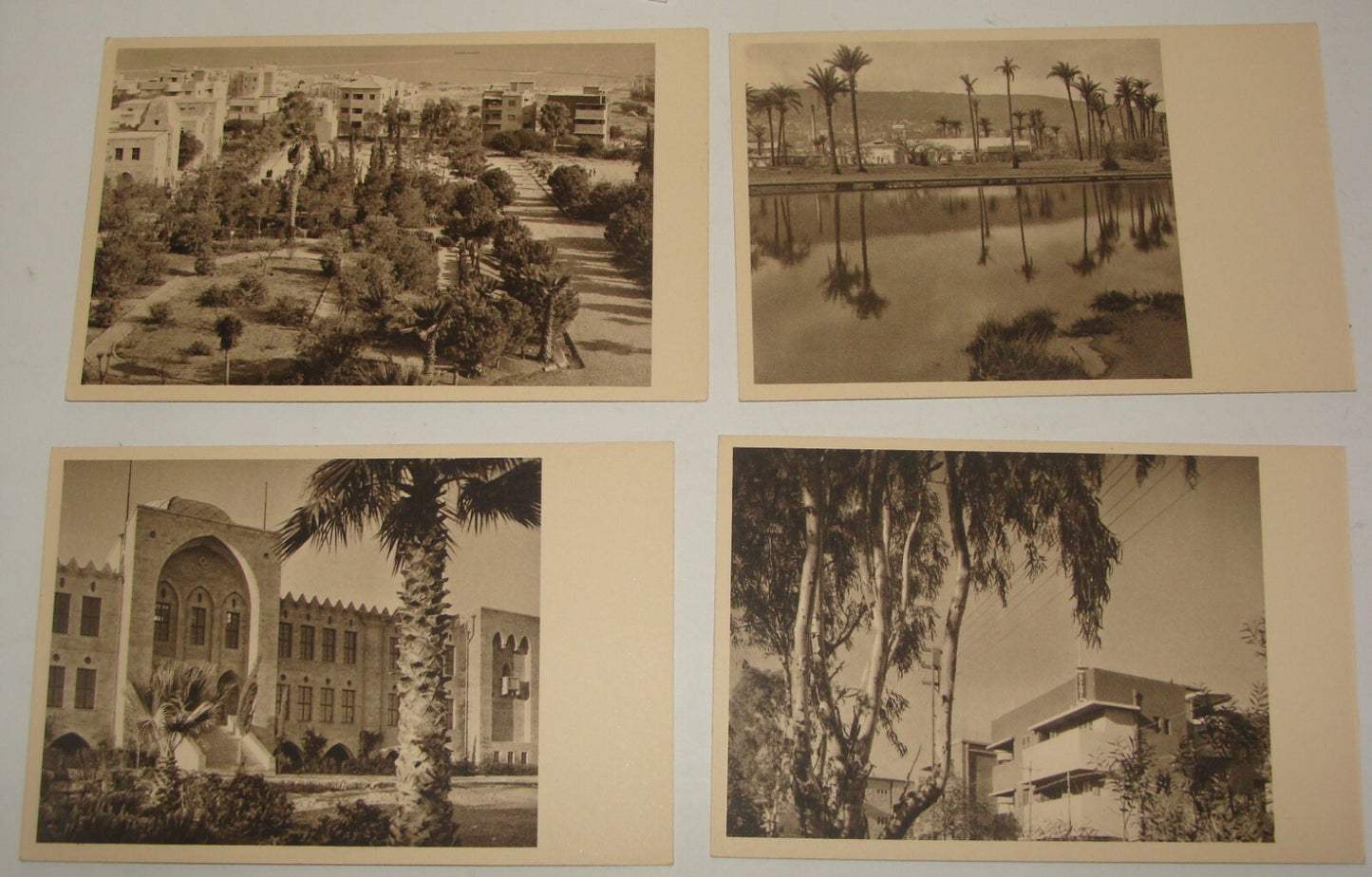 Photo Palestine Card Jewish Judaica Israel Israeli 1940s HAIFA Postcard Lot x9