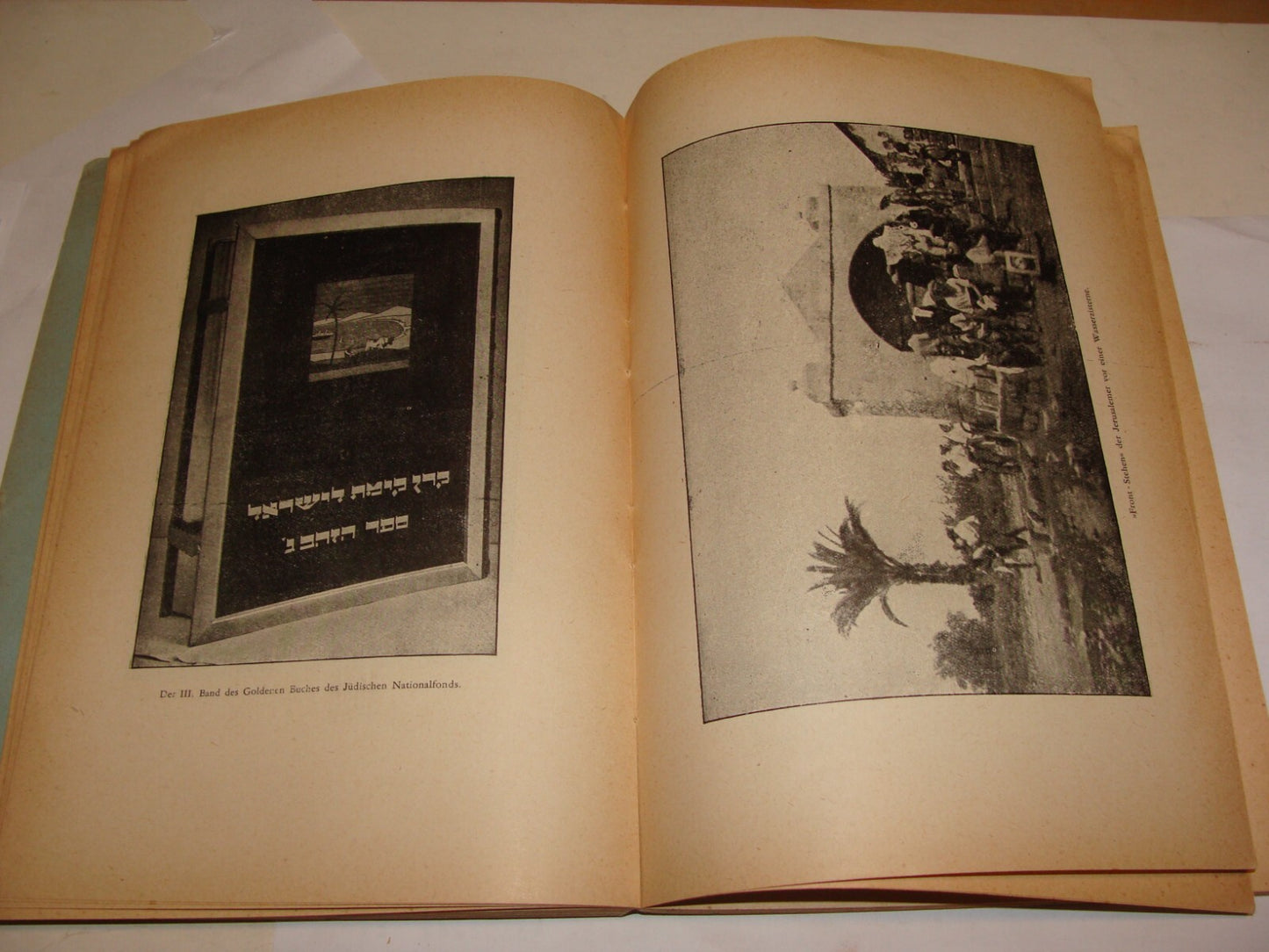 Book Jewish Judaica 1928 National Fund German Czech Prague Zionist Palestine