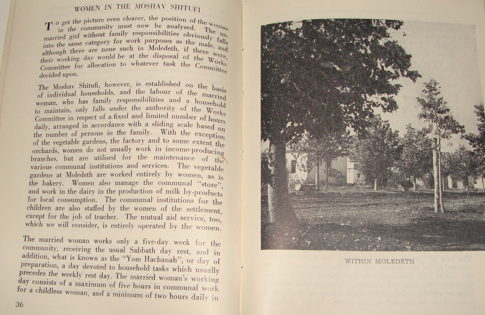 Book Jewish Judaica 1949 Moshav Moledet Bnei Brith Feitelberg Zionist Settlement