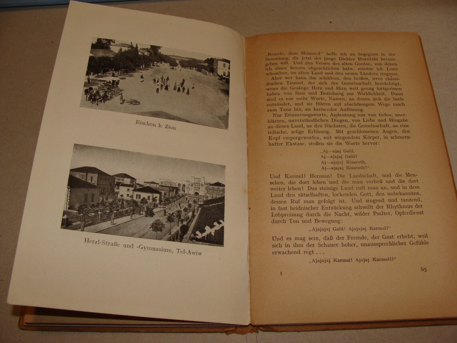 RARE 1922 Travel Book JEWISH PALESTINE Photo Album Map Germany Holitscher Israel