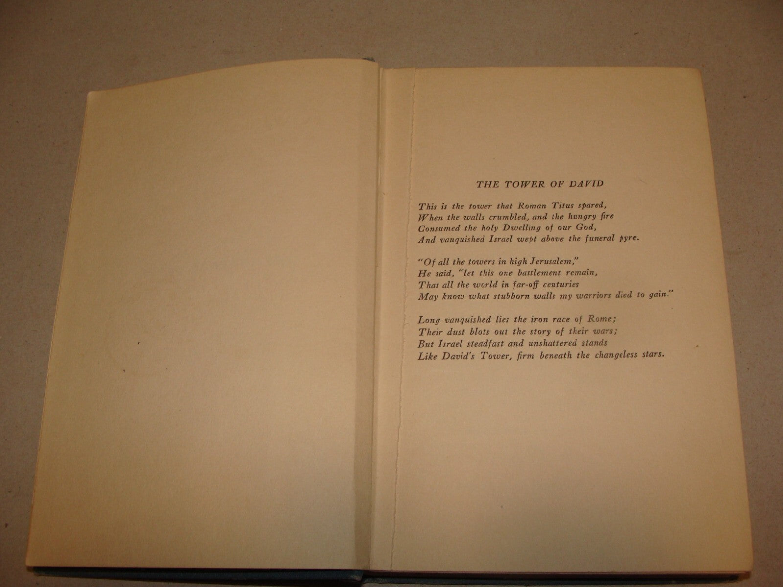 $ Book Jewish American Judaica 1924 THE TOWER F DAVID Elma Ehrlich Levinger
