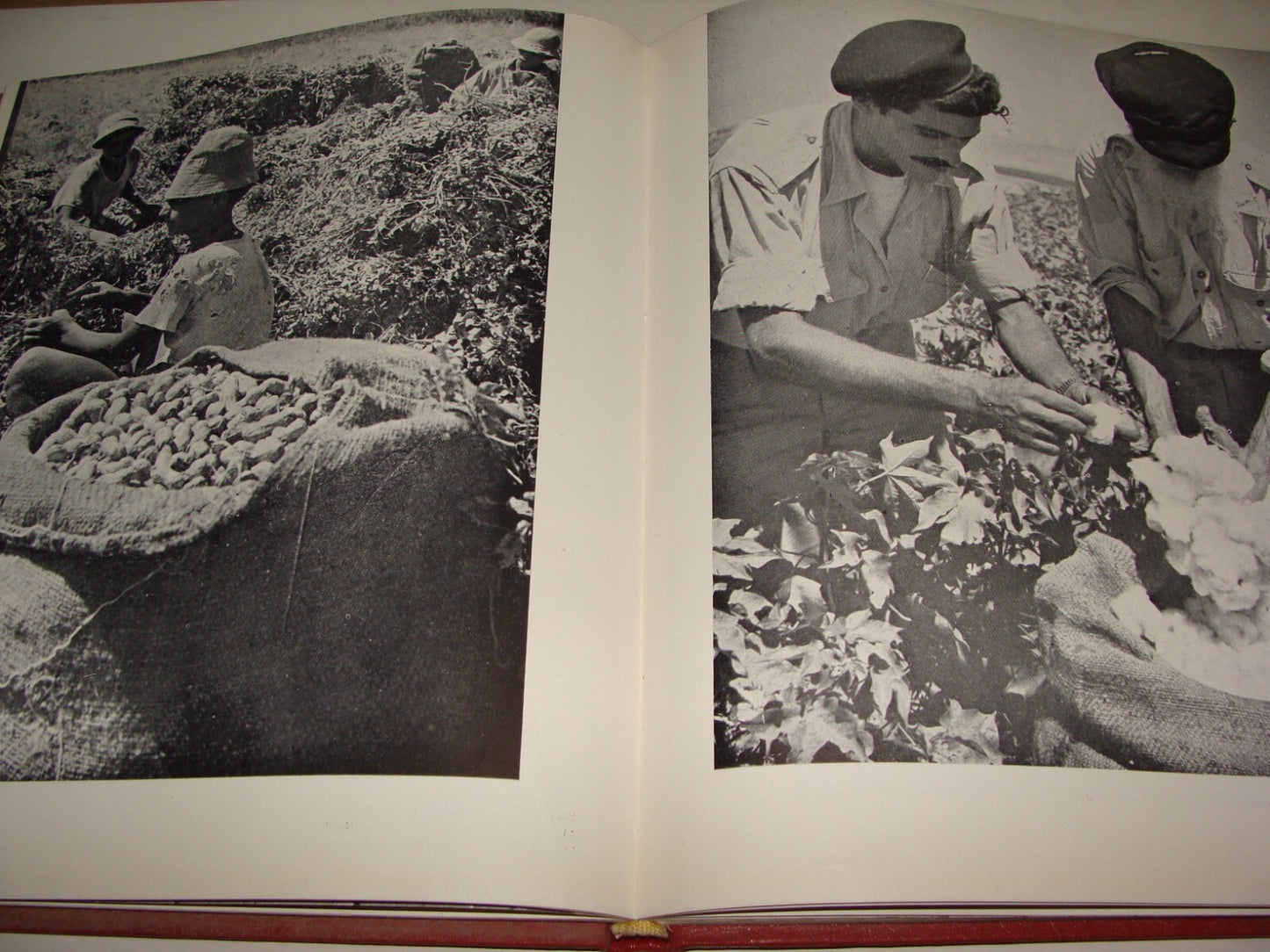 Book Jewish Judaica 1959 ISRAEL STORY IN PICTURES Photo Album Zionist History