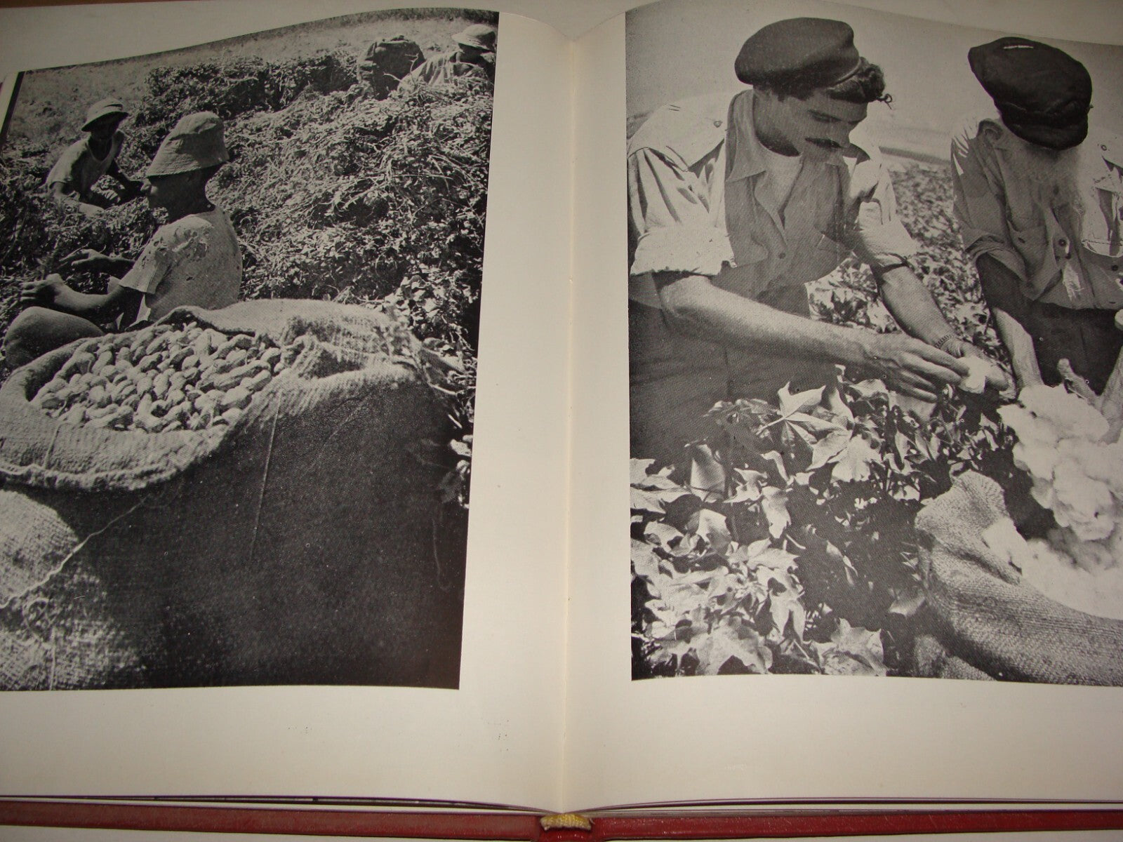 Book Jewish Judaica 1959 ISRAEL STORY IN PICTURES Photo Album Zionist History