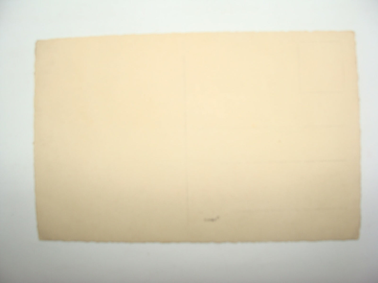 Photo Palestine Card Palestinian Israel Real Postcard Arab Arabic Bedouin Desert