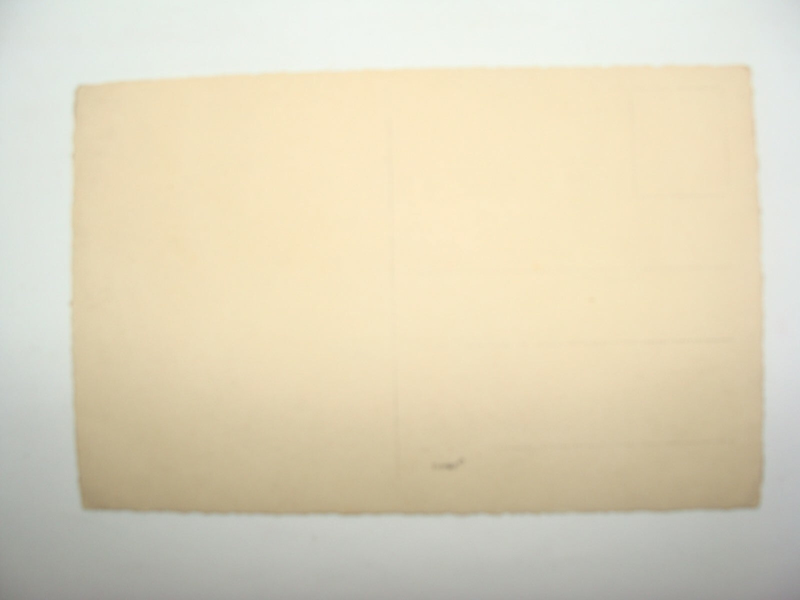 Photo Palestine Card Palestinian Israel Real Postcard Arab Arabic Bedouin Desert