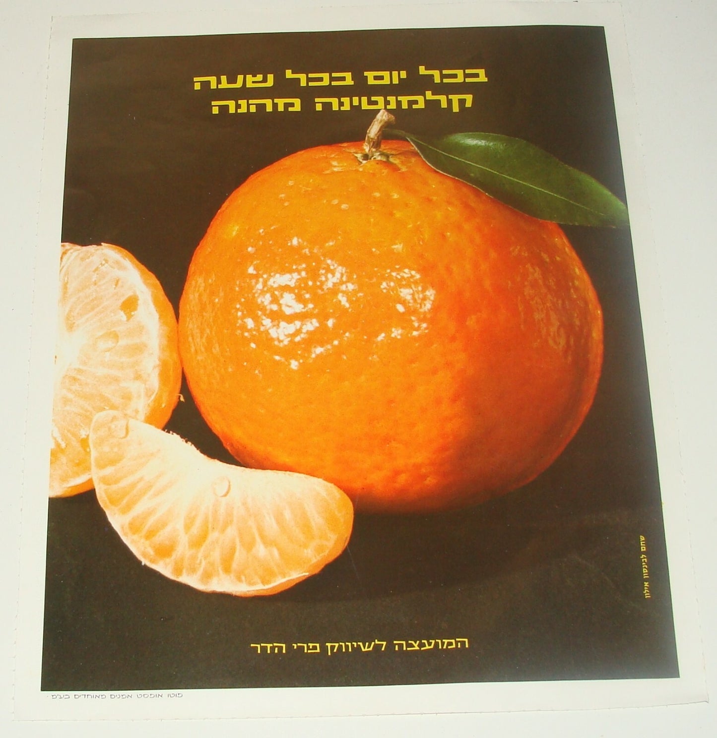 Ad Jewish Hebrew Israel Israeli Vintage Poster Lot Fruit Orange Citrus Zionist