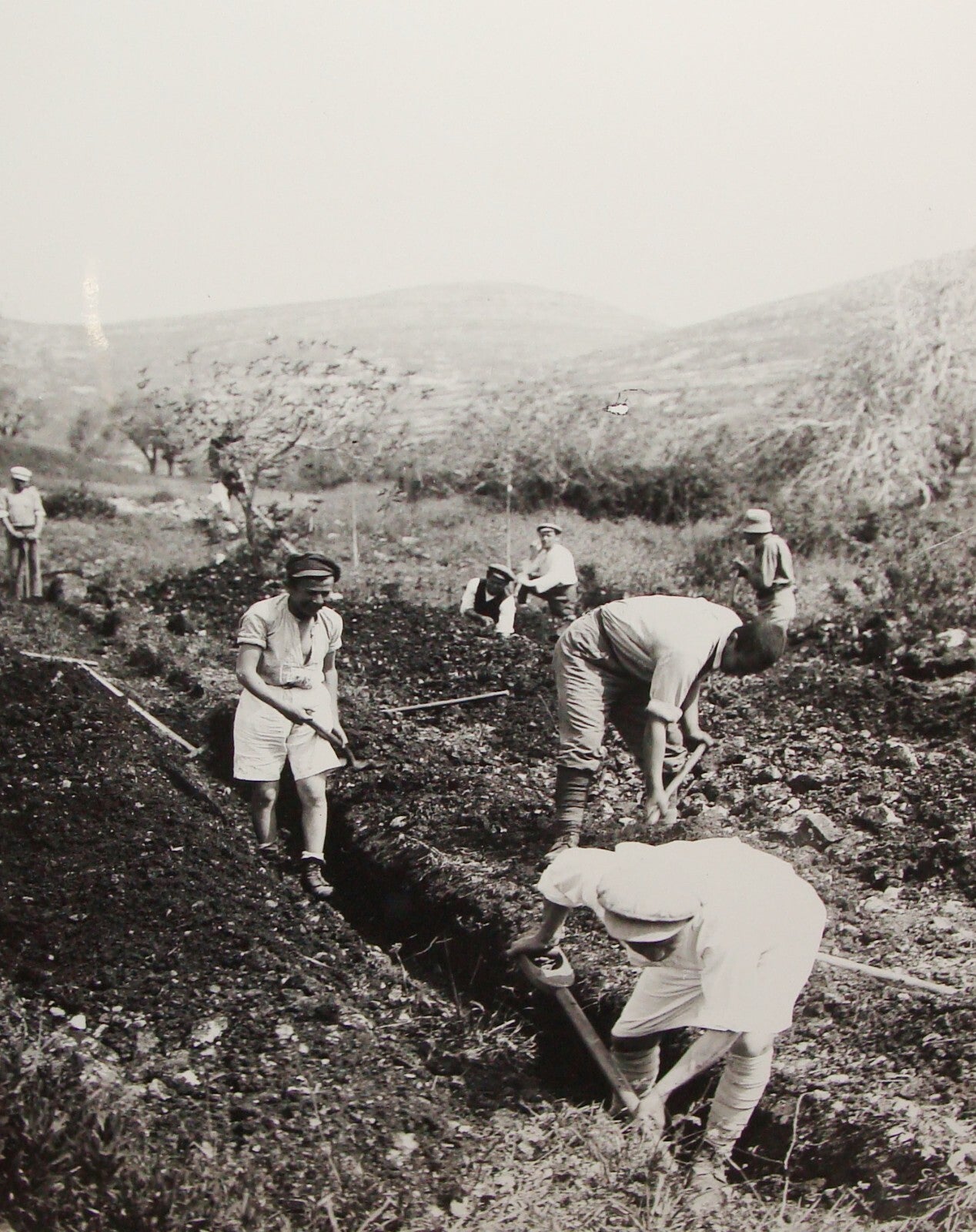 Photo Print Palestine MATSON , 1930s Israel Jewish Hebrew Settlement Pioneers