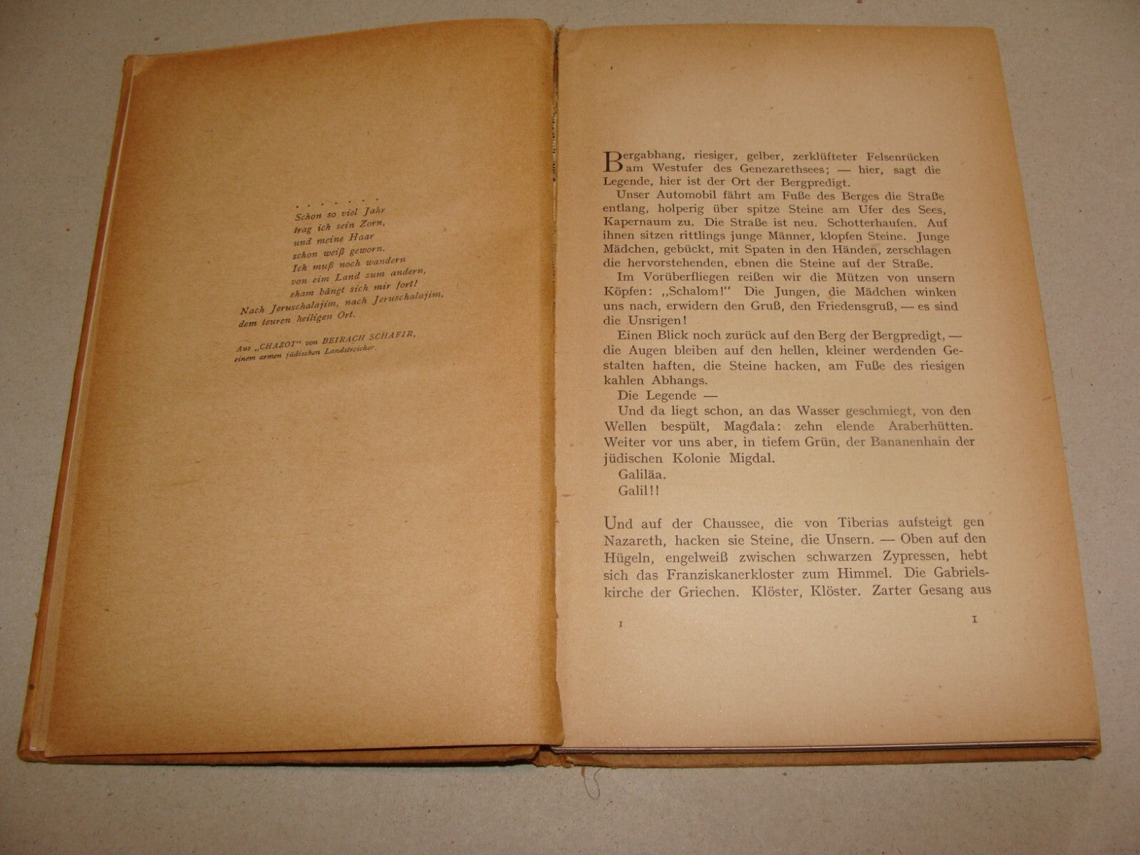 RARE 1922 Travel Book JEWISH PALESTINE Photo Album Map Germany Holitscher Israel