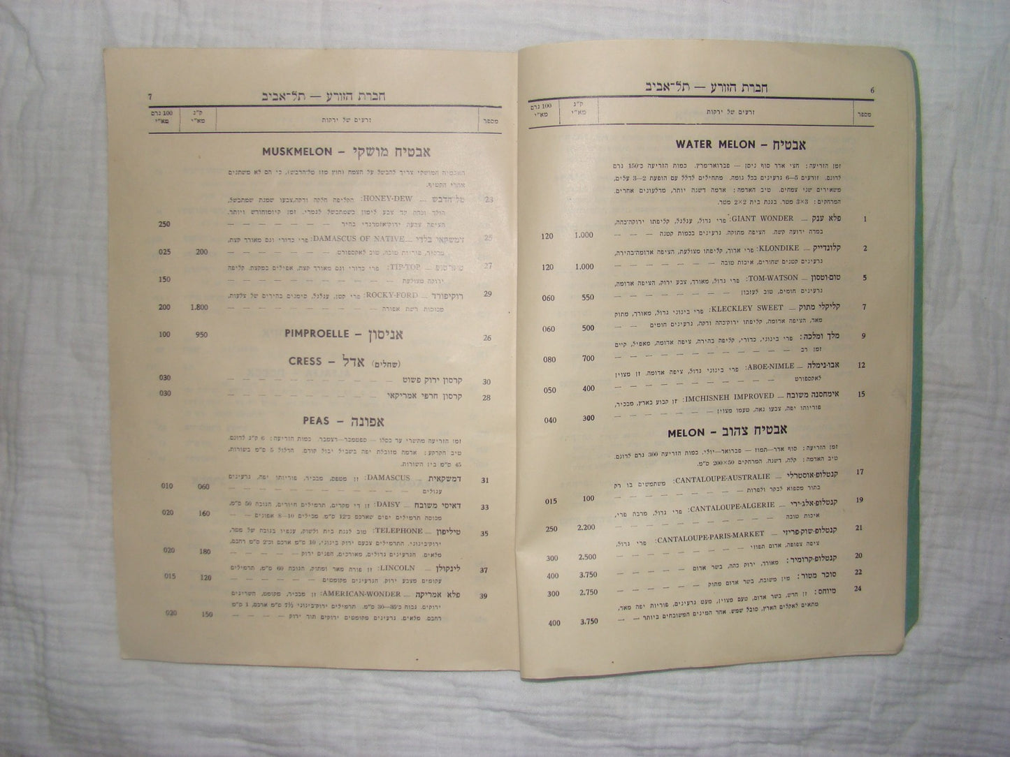 Book Jewish hebrew 1938 palestine eretz israel Hazorea Company Agriculture