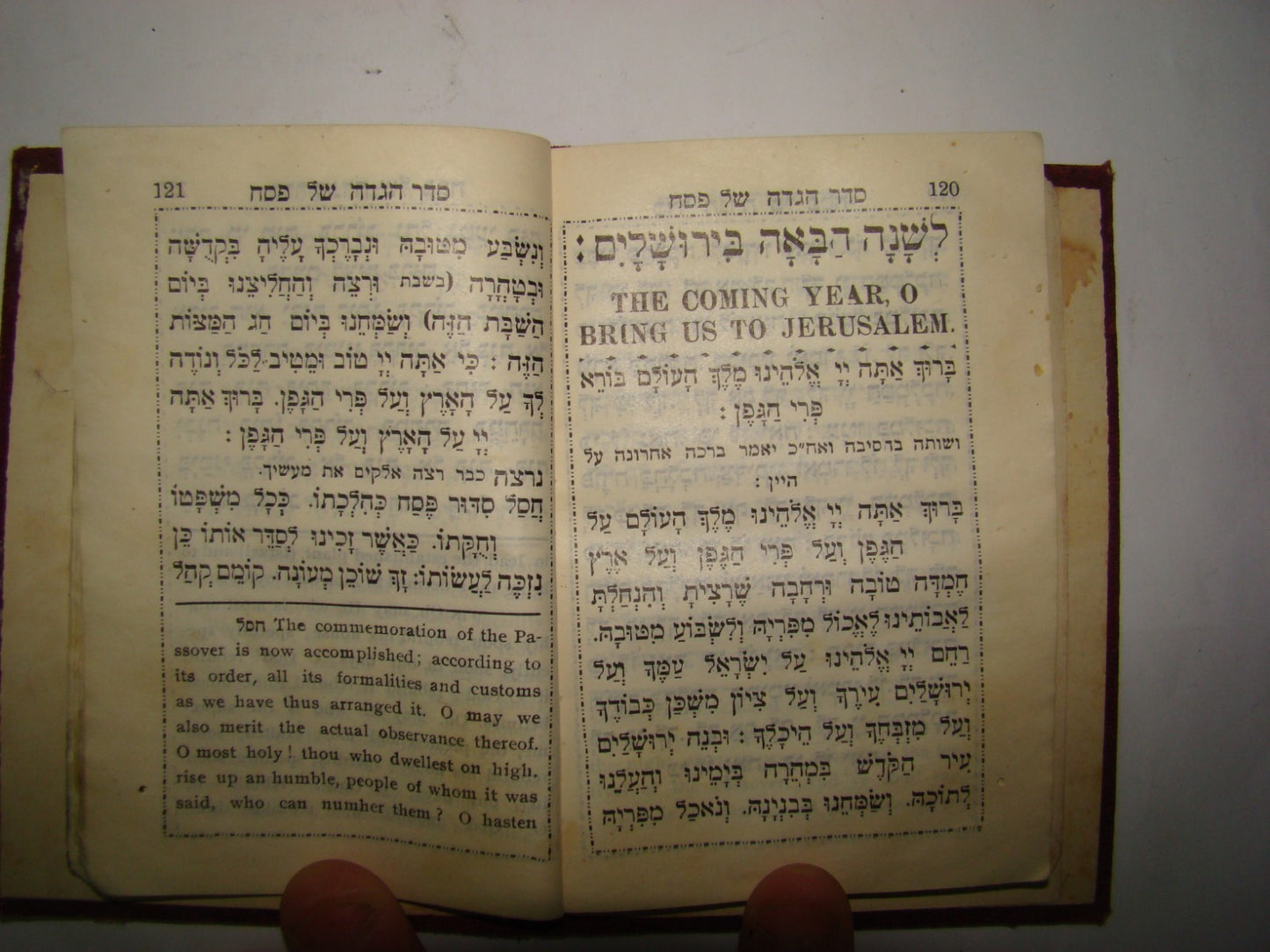 Book Jewish Judaica Rabbi Pocket Passover Haggadah Souvenir Eng\Heb Jerusalem