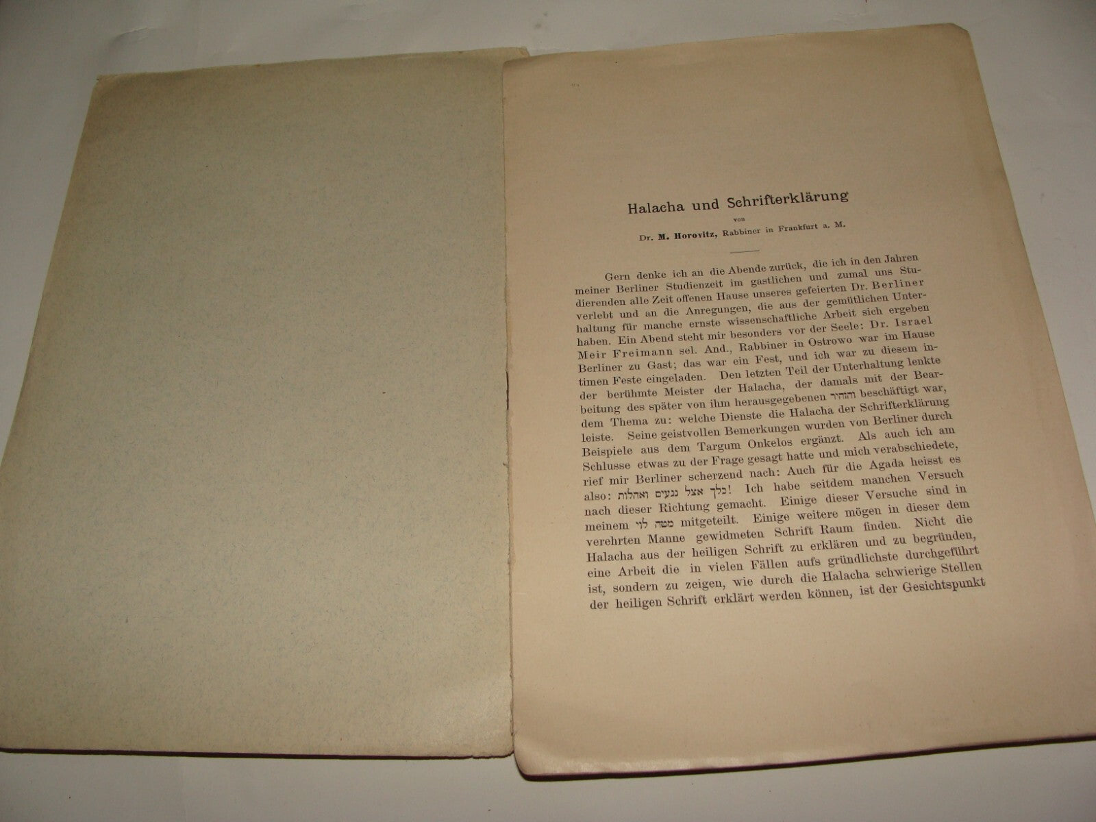 Germany Book Jewish Judaica Antique 19039 German   Rabbi Horovitz Berlin HALACHA