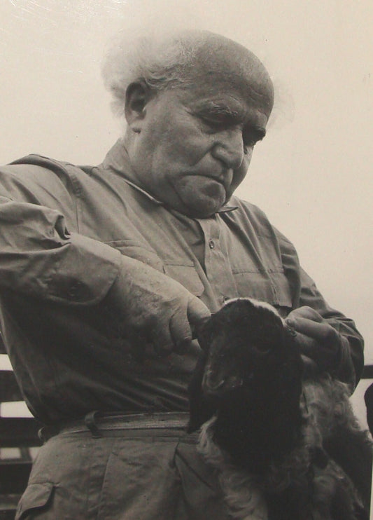 Pol Photo Print Jewish 1954 Israel Prime Minister DAVID BEN GURION Kibbutz Sde