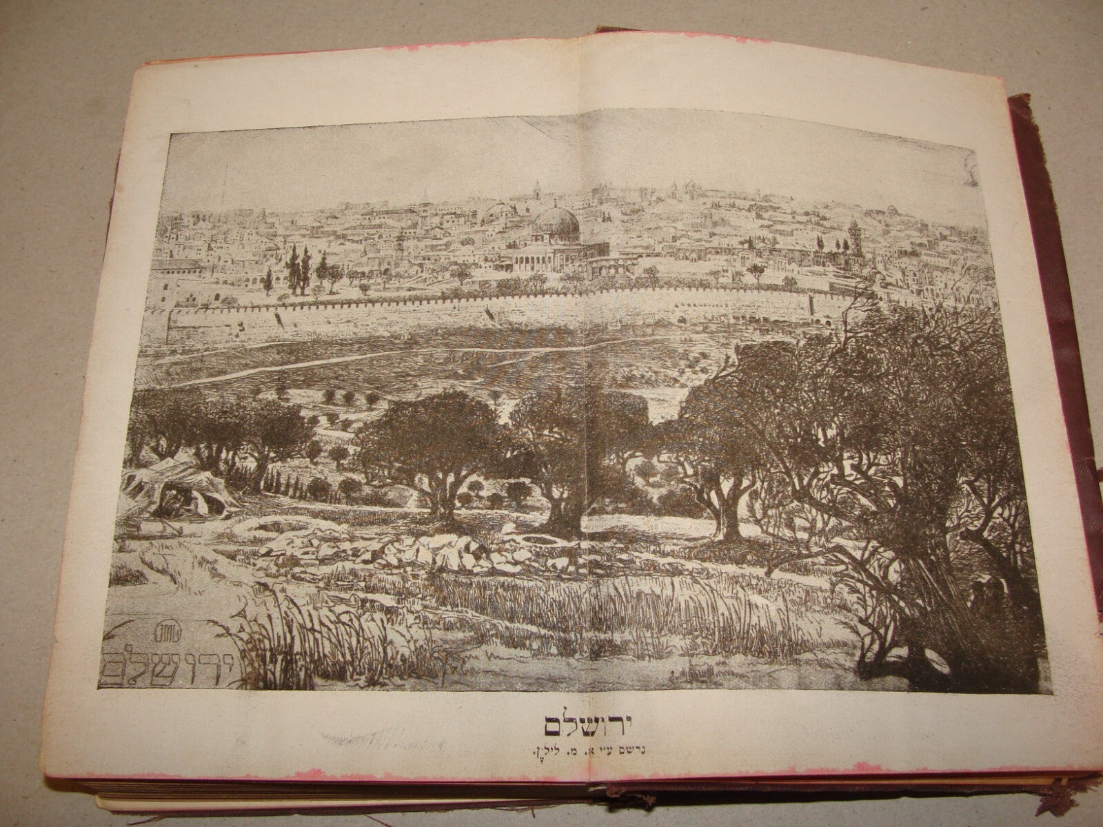 Jewish Judaica 1921 Palestine Israel Travel Book Map Hebrew J. PRESS Vienna