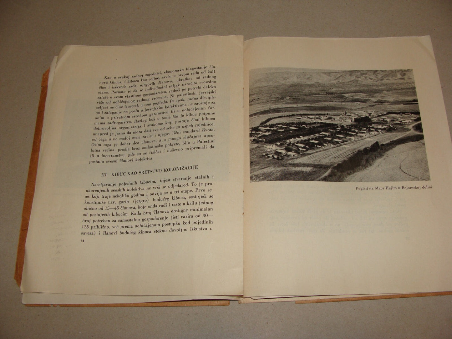 Pamphlet Palestine Map 1947 Zionist Jewish Hebrew Israel Kibbutz Bosnian Photo